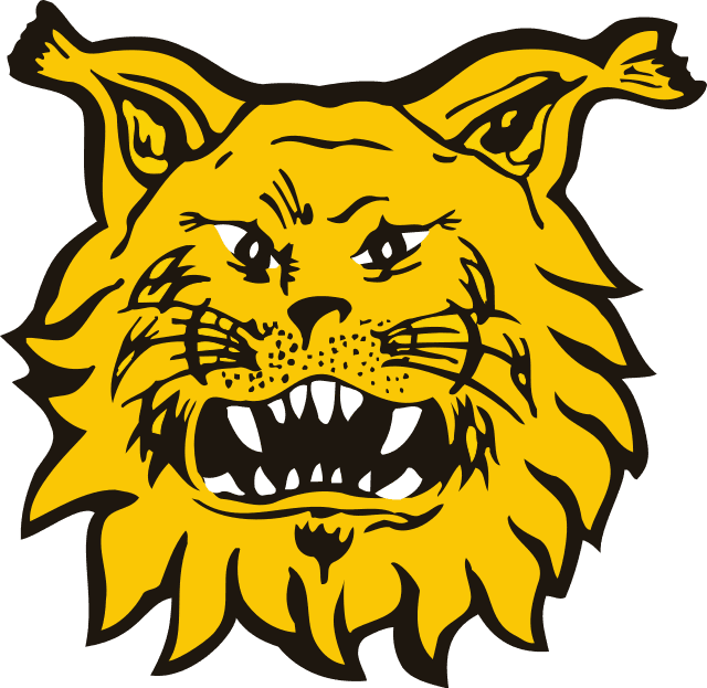 Ilves II