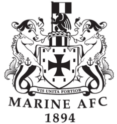 rugby-logo