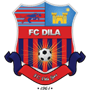 Dila Gori