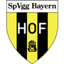 SpVgg Bayern Hof