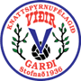 Vidir