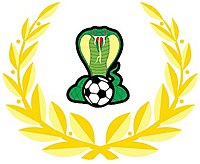 Adelaide Cobras