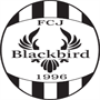 FC Jyvaskyla Blackbird
