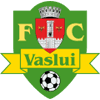 CSSM Vaslui