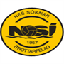 NSI Runavik