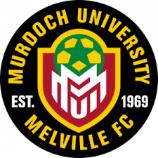 rugby-logo