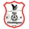 Sua Flamingoes