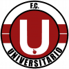 Universitario de Vinto