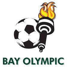 rugby-logo