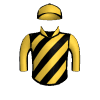 Sole Heir