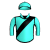Turnpike Bandit