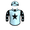 El Gavilan